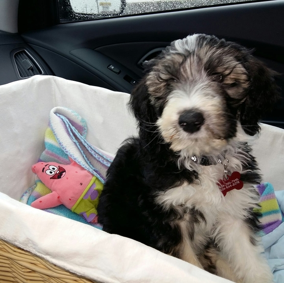 Meet your Posher, Wendy - Picture 1 of 1